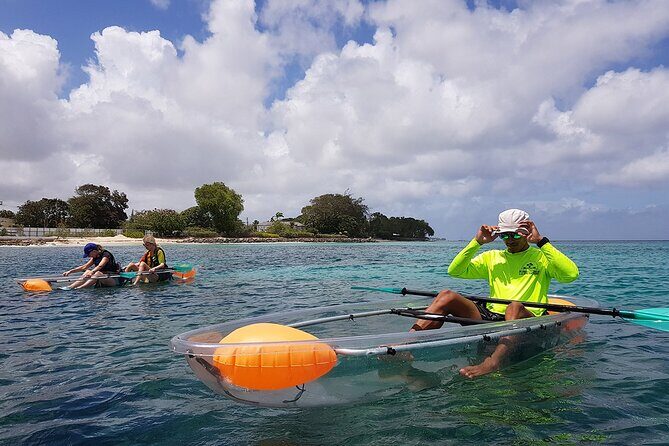Folkestone Coral Reef Clear Kayak Tour - The Sum Up: Who Should Consider This Tour?