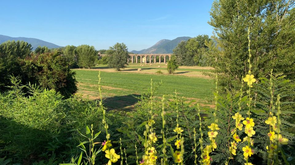 Following the Truffle Trail: Gastronomic Journey From Lucca - Cancellation Policy