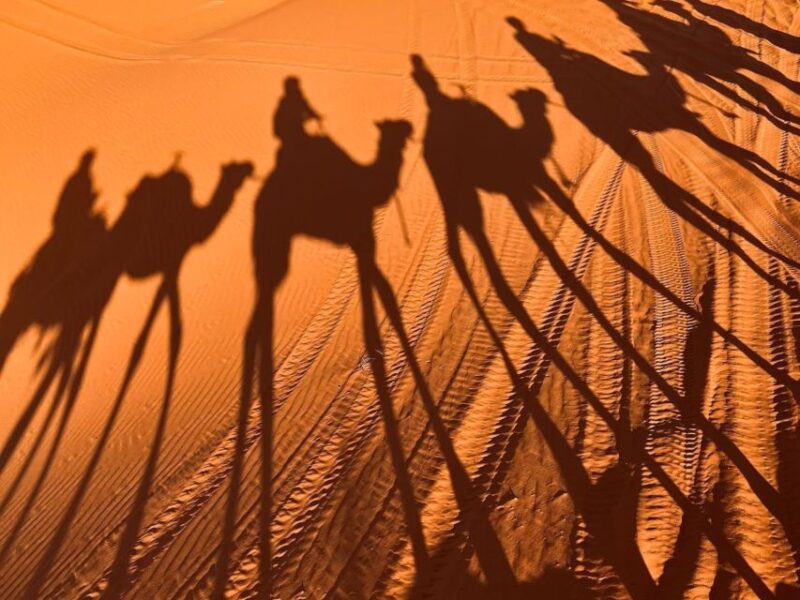 Fom Marrakech: 4-Day Desert Tour to Fez - Exploring the Sahara Desert