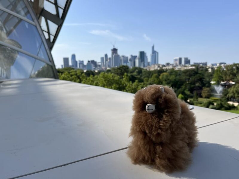 Fondation Louis Vuitton: Ticket Entry & Private Tour - Meeting and Itinerary