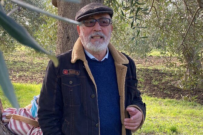 Food and Wine Tour between the Patriarchs Olives and the Oil Temples - Key Points