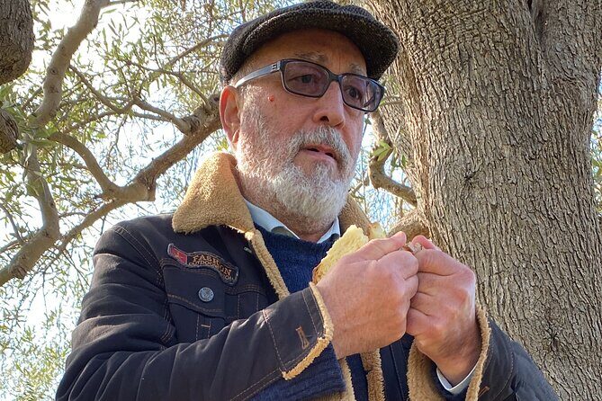 Food and Wine Tour between the Patriarchs Olives and the Oil Temples - Why This Tour Is Worth Considering