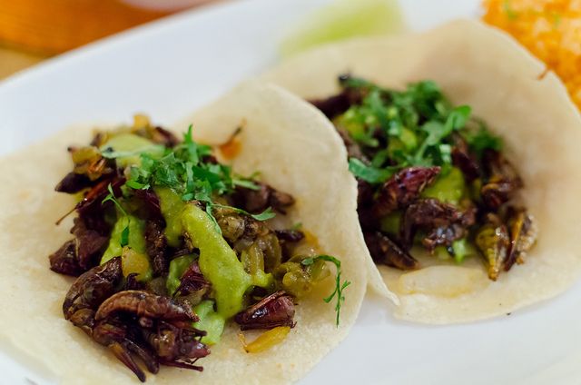 Food Hoppers 2.5-Hour Tour in Playa Del Carmen - Inclusions