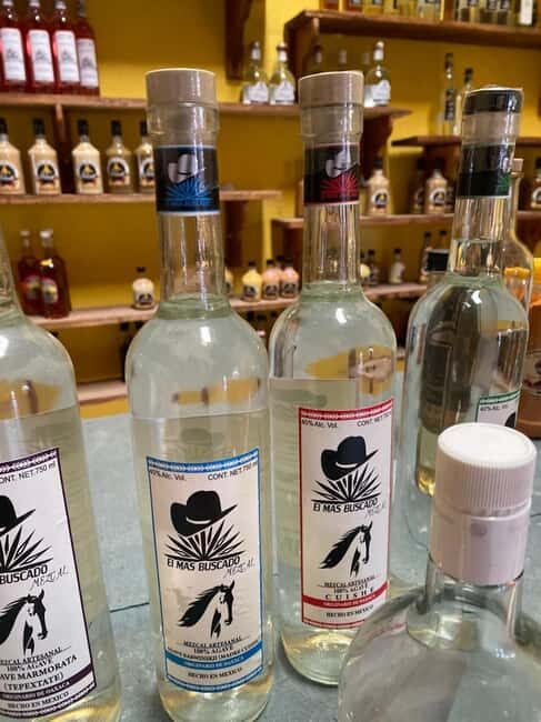 Food & Mezcal Journey - Who Should Book This Tour?  