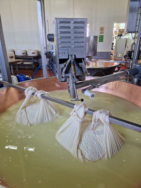 Food Valley: Parmesan, Prosciutto, Balsamic Day Tour With Ferrari - Parmigiano Reggiano Cheese Factory