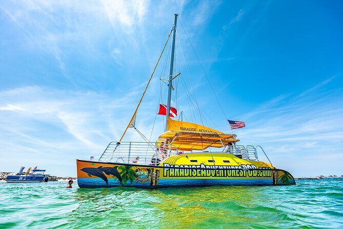Footloose Catamaran Snorkel and Dolphin Watch Tour - Who Will Love This Tour?
