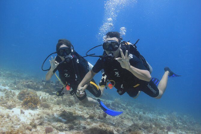 For certified Divers Experience the Under Water Museum and the Manchones Reef - Final Thoughts: Is This Tour Worth It?