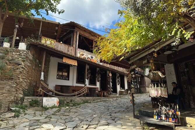 FOR CRUISERS: Ephesus Tour and Traditional Turkish Lunch - An In-Depth Look at the Ephesus Tour Experience