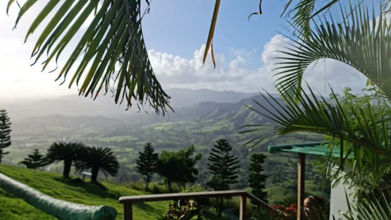 for Small Groups Half-Day Tour to Montaña Redonda - Key Points