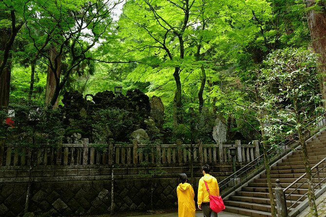 Forest Bathing in Temple and Enjoy Onsen With Healing Power - Taking in the Forest Atmosphere