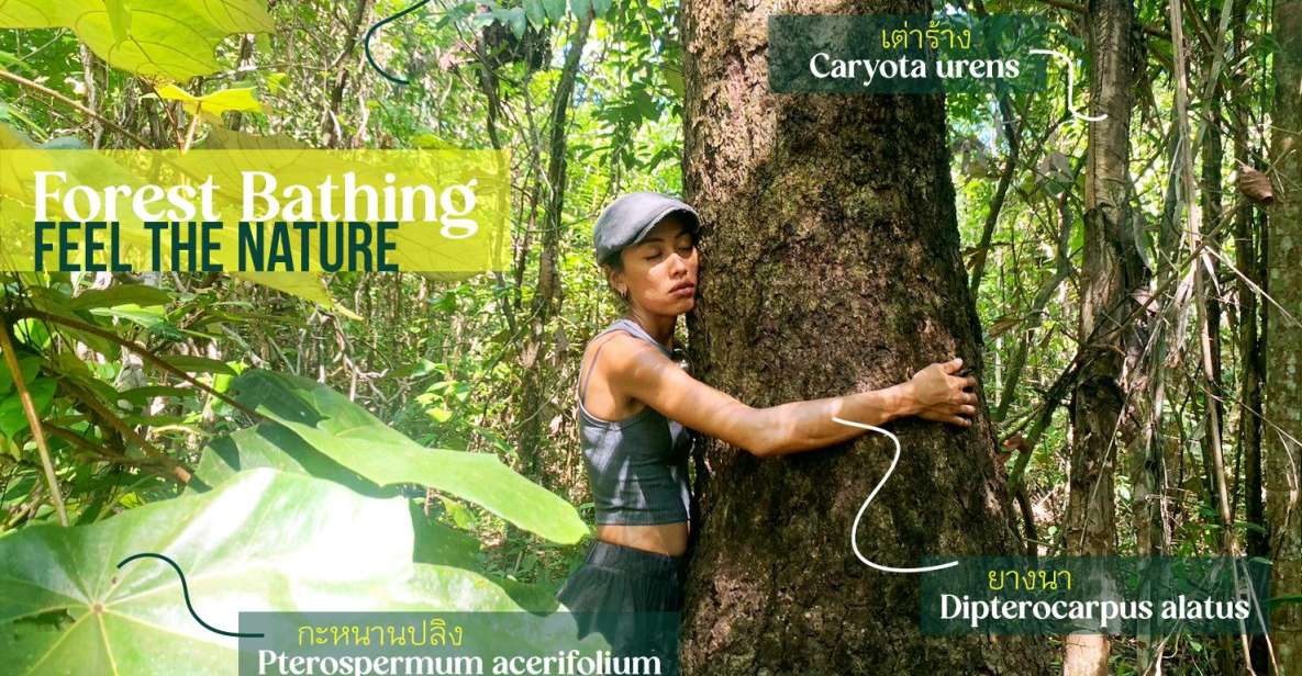 Forest Bathing & Nature Retreat & Aroma Blending Workshop - Exploring the Mangrove Forest
