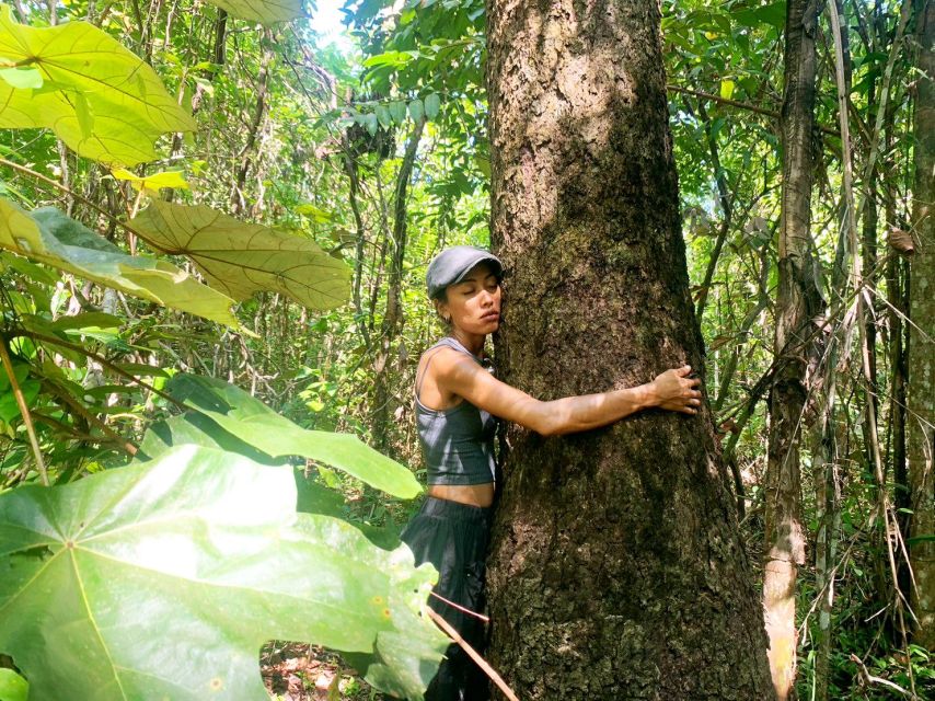 Forest Bathing & Nature Retreat & Aroma Blending Workshop - Pricing and Cancellation Policy