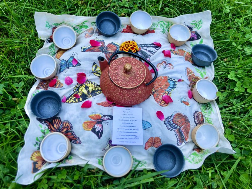 Forest Bathing & Nature Therapy Mini-Retreat - Japanese Art of Forest Immersion