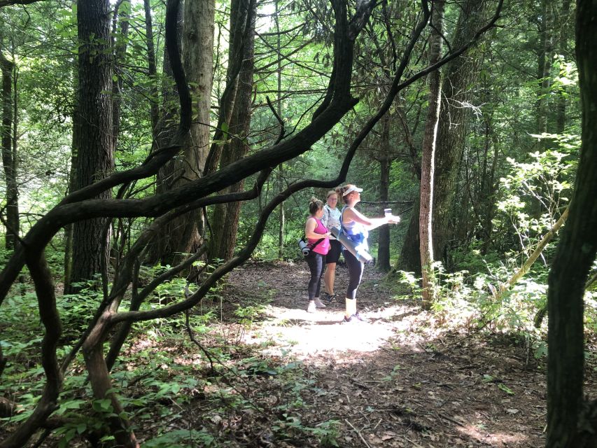 Forest Bathing & Nature Therapy Mini-Retreat - Relaxing Tea Ceremony