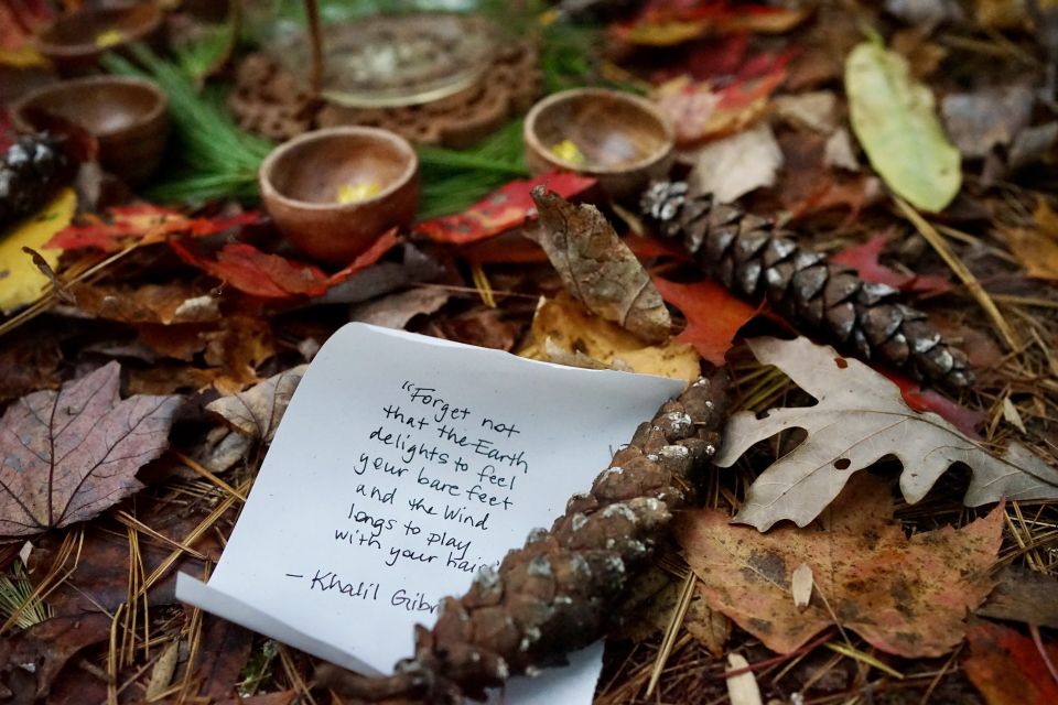 Forest Bathing & Nature Therapy Mini-Retreat - Logistics and Meeting Point