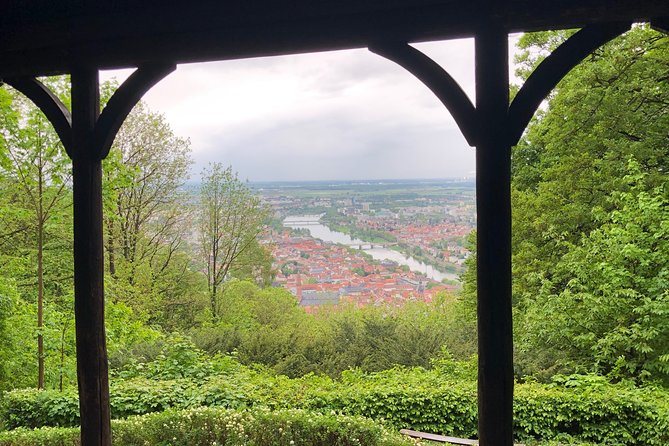 Forest Hike in Heidelberg - Traveler Photos and Experiences