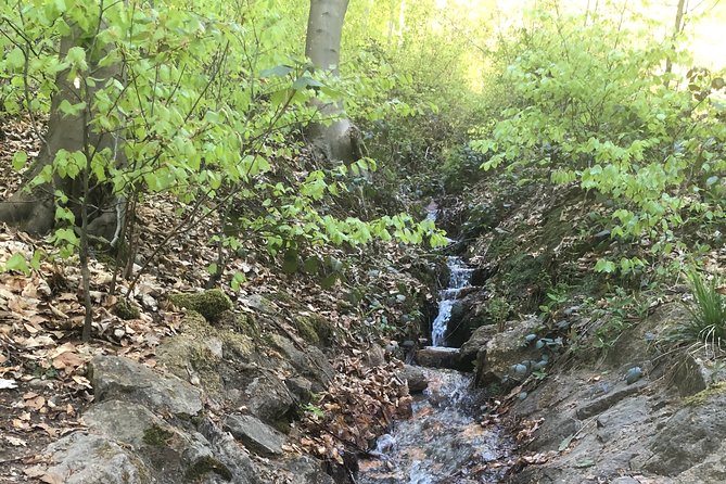 Forest Hike in Heidelberg - Frequently Asked Questions