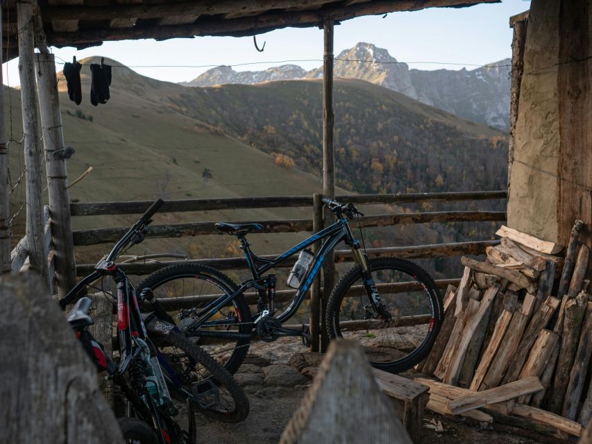 Forest Of Dean: Mountain Bike Tour - Itinerary and Experience