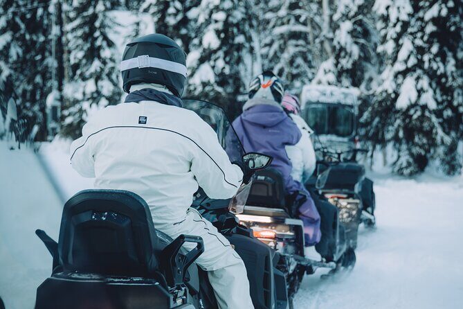 Forest Snowmobile Tour in Alaska - Getting to Know the Tour