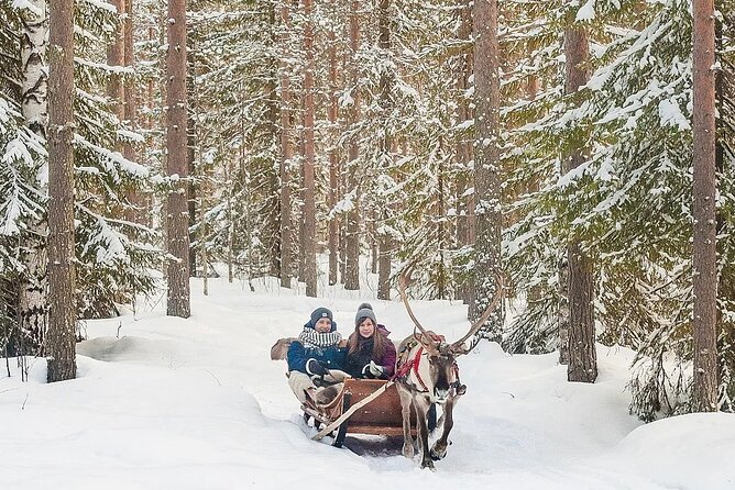 Forest Trail Reindeer Safari - Additional Information