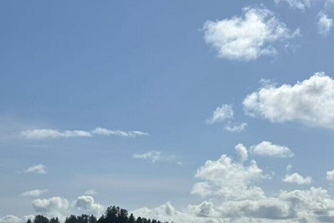 Forks Town, Twilight Movie, Olympic Small Group 1 Day Tour - Final Thoughts: Is It Worth It?