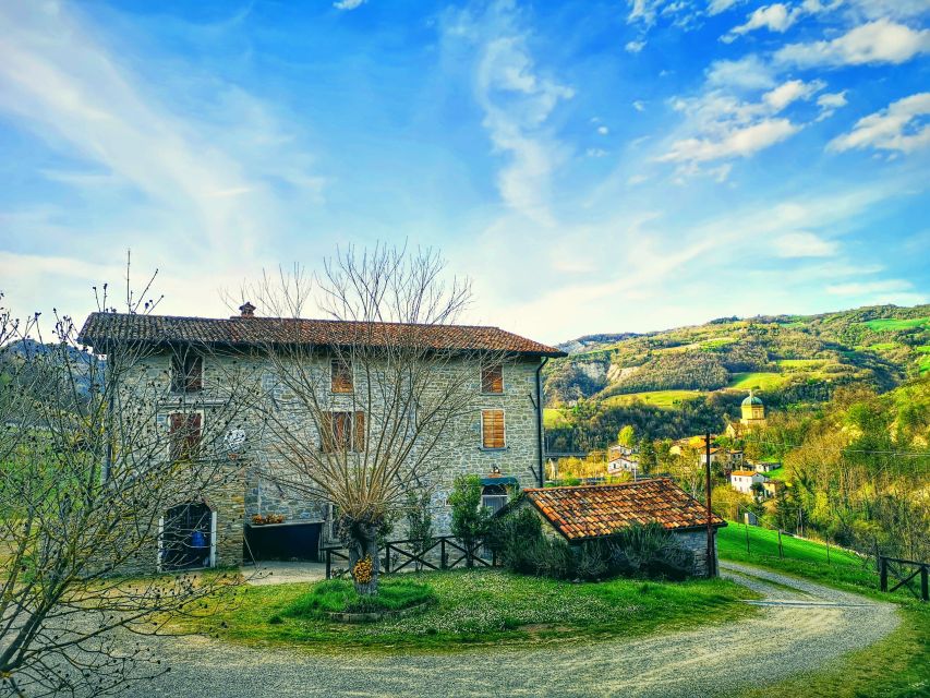 Forlì: Farm Cooking Class and Slow Food Market Tour - Itinerary and Activities
