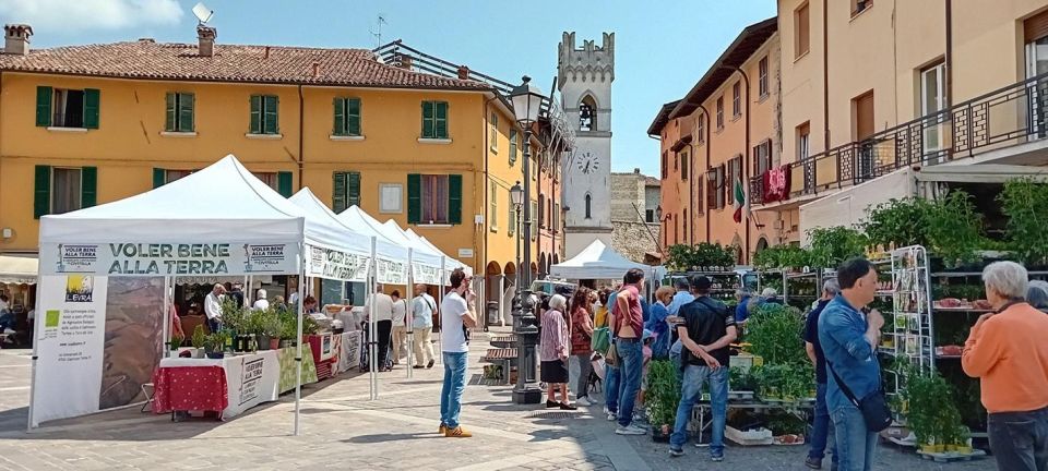 Forlì: Farm Cooking Class and Slow Food Market Tour - Recap