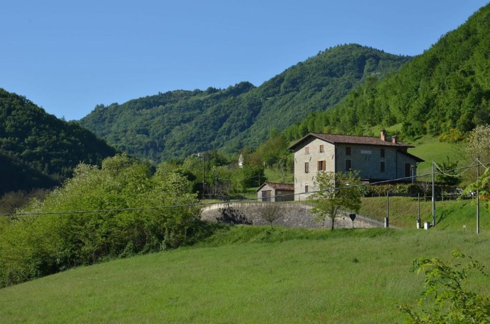 Forlì: Foraging, Looking for Wild Edible Herbs - Learning Wild Edible Herbs