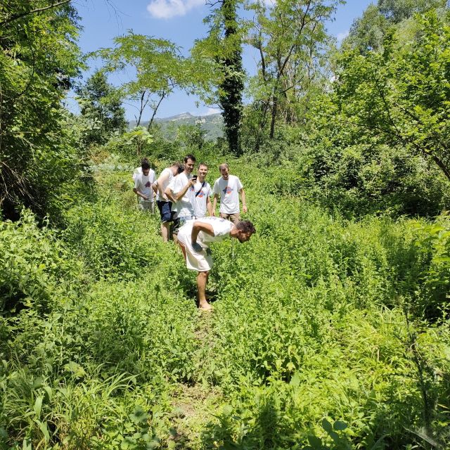 Forlì: Foraging, Looking for Wild Edible Herbs - Whats Included in the Tour