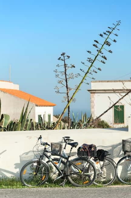 Formentera: discover our fast ferry + bike package - An Efficient, Authentic Day Trip to Formentera
