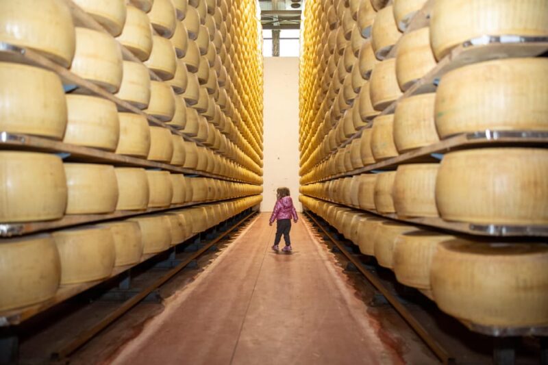 Formigine: Parmesan Cheese Tour With Full Tasting - The Cheese-Making Process