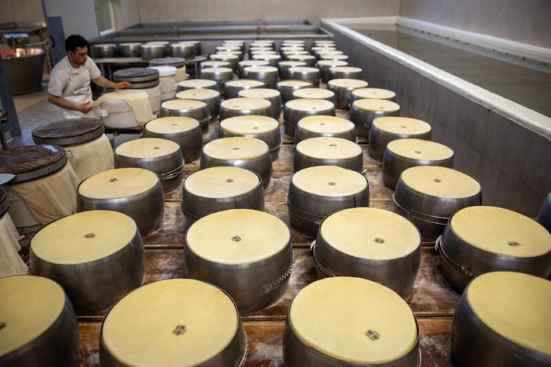 Formigine: Parmesan Cheese Tour With Full Tasting - Tasting Session