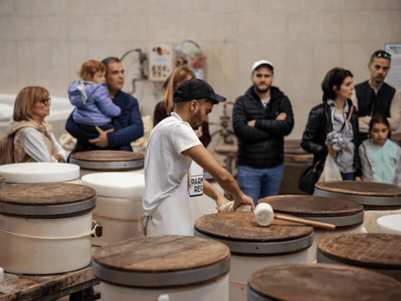 Formigine: Parmesan Factory Tasting and Tour near Modena - Who Will Love This Experience?