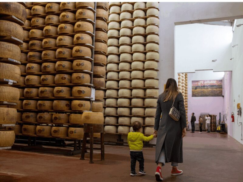 Formigine: Parmesan Factory Tasting and Tour near Modena - The Sum Up