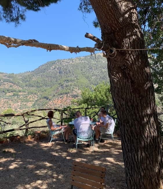 Fornalutx - hiking to the olive farm & oil tasting - Key Points