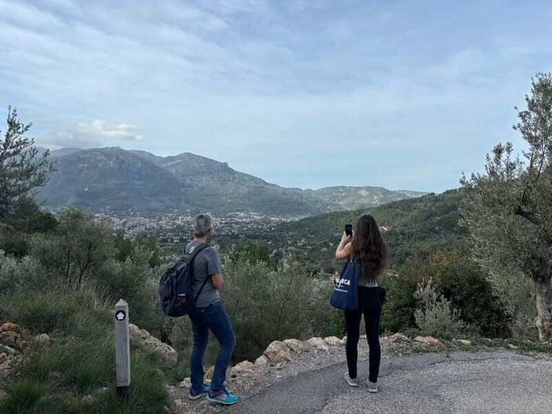 Fornalutx - hiking to the olive farm & oil tasting - Who should consider this tour?