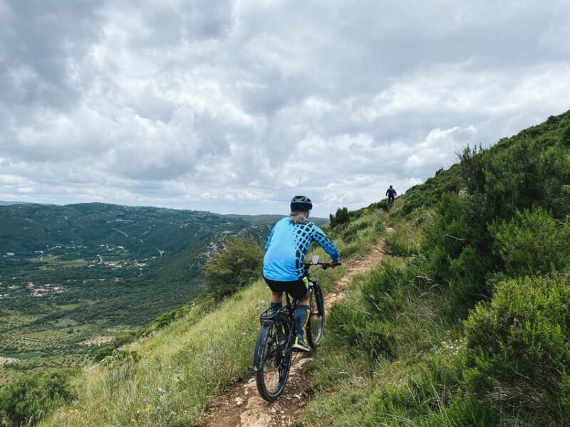Fórnea E-bike and Olive Oil tour - Who Is This Tour Best For?