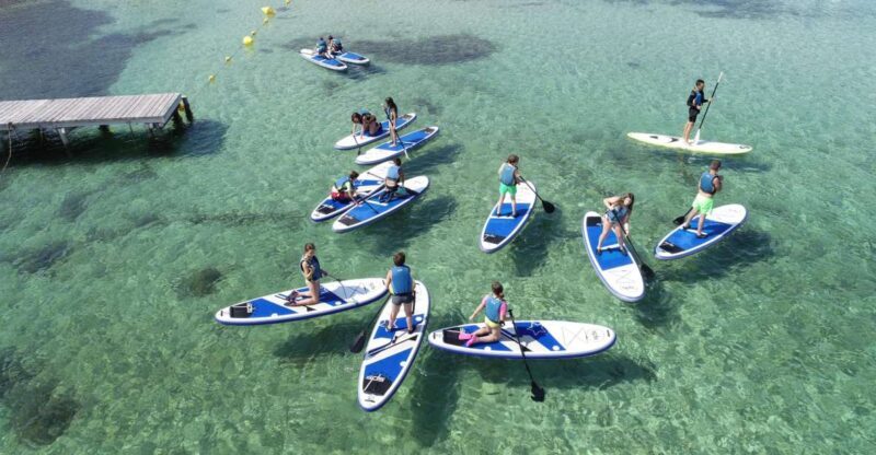 Fornells Bay: 2-Hour Stand-Up Paddle Excursion - Setting the Scene: What to Expect  