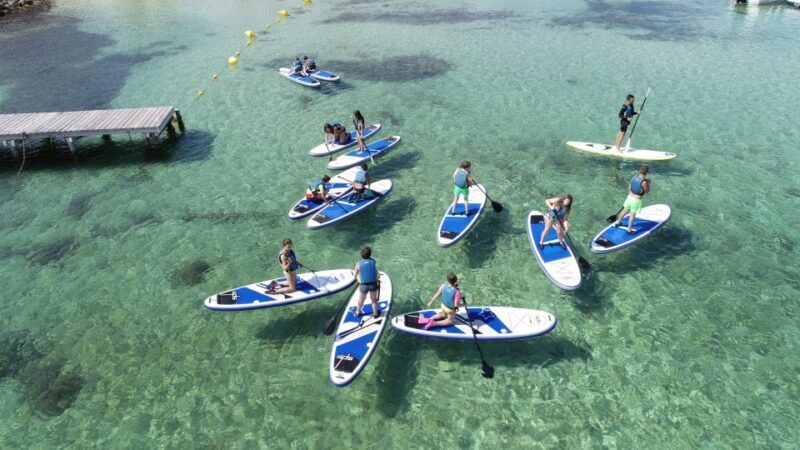 Fornells Bay: 2-Hour Stand-Up Paddle Excursion - What’s Included and What’s Not  