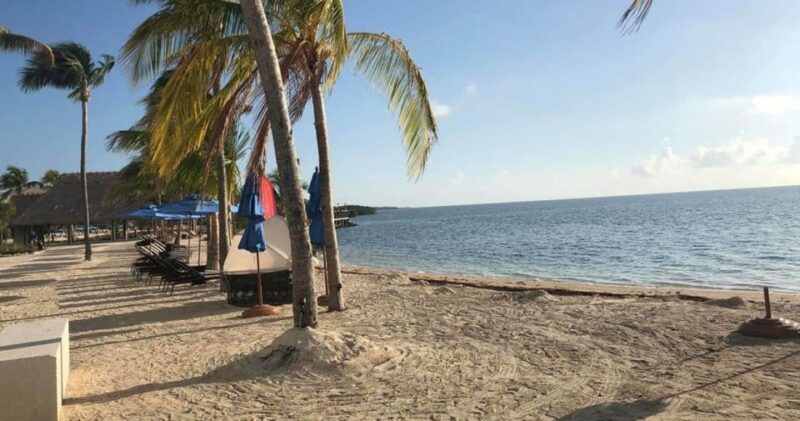 Fort Lauderdale: Custom Snorkel, Sandbar & Cruise - Customization Options Available
