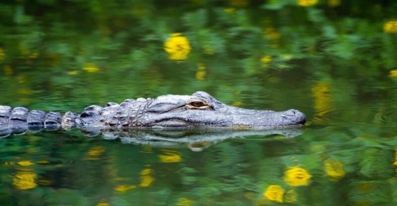 Fort Lauderdale: Everglades Express Tour with Airboat Ride - Getting There and Getting Comfortable