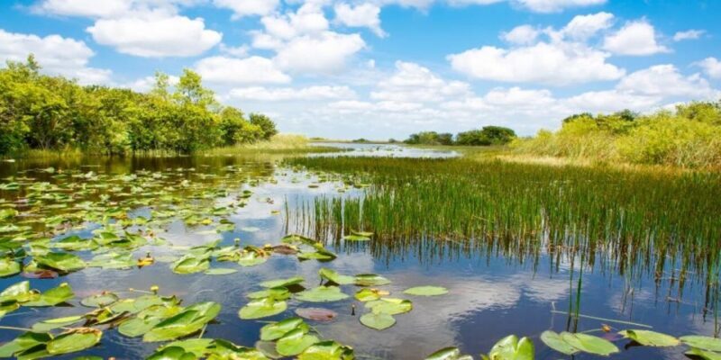 Fort Lauderdale: Everglades Express Tour with Airboat Ride - FAQ