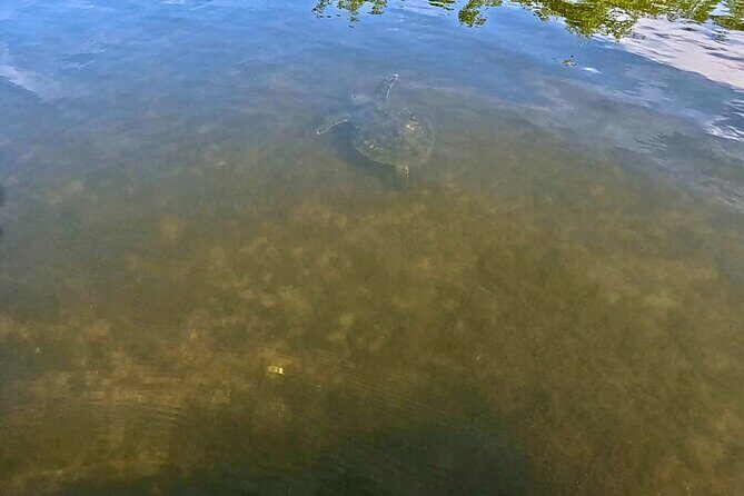 Fort Lauderdale: Kayak and Paddleboard Mangroves Eco Adventure - Introduction to the Eco Adventure