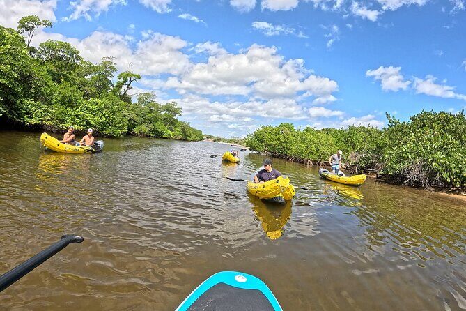 Fort Lauderdale: Kayak and Paddleboard Mangroves Eco Adventure - Authentic Voices from Reviewers