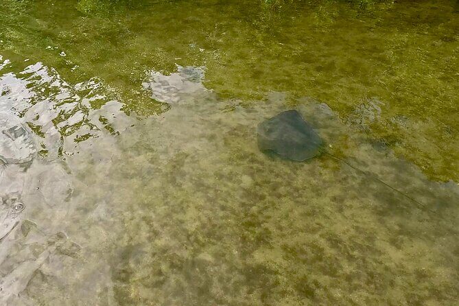 Fort Lauderdale: Kayak and Paddleboard Mangroves Eco Adventure - Who Should Consider This Tour?