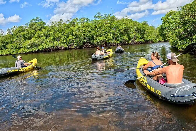 Fort Lauderdale: Kayak and Paddleboard Mangroves Eco Adventure - Final Thoughts