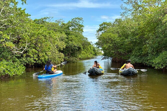 Fort Lauderdale: Kayak and Paddleboard Mangroves Eco Adventure - FAQ