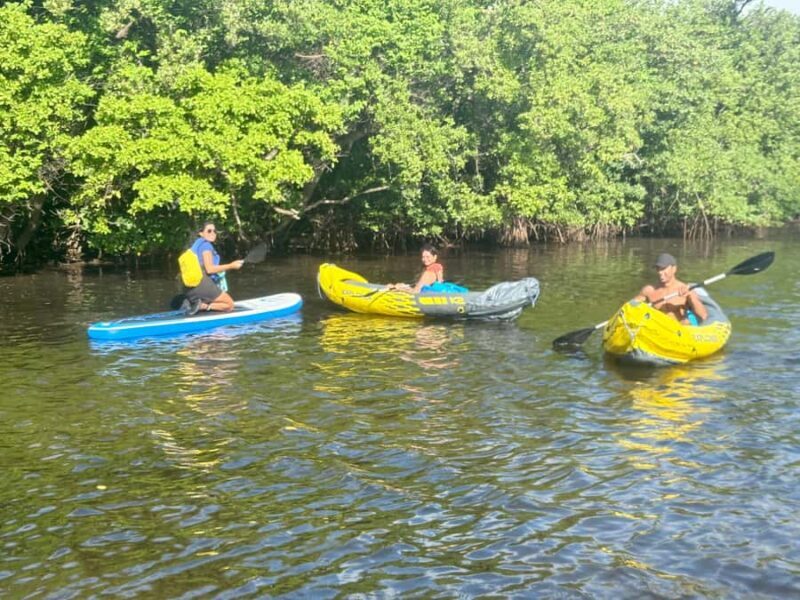 Fort Lauderdale: Kayak & Paddleboard Mangroves Eco Adventure - The Experience of Paddle Choice and Comfort