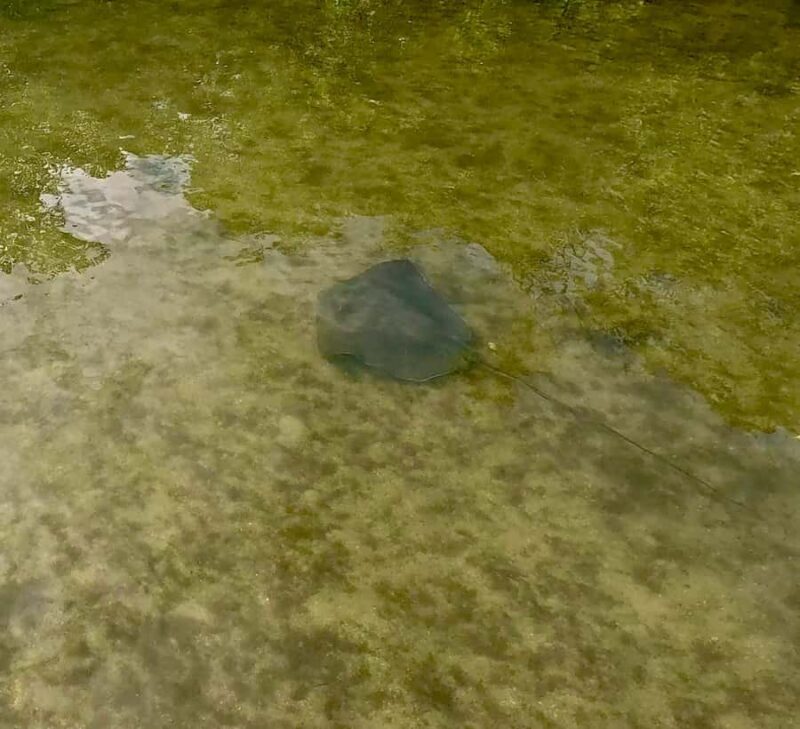 Fort Lauderdale: Kayak & Paddleboard Mangroves Eco Adventure - The Value of the Tour