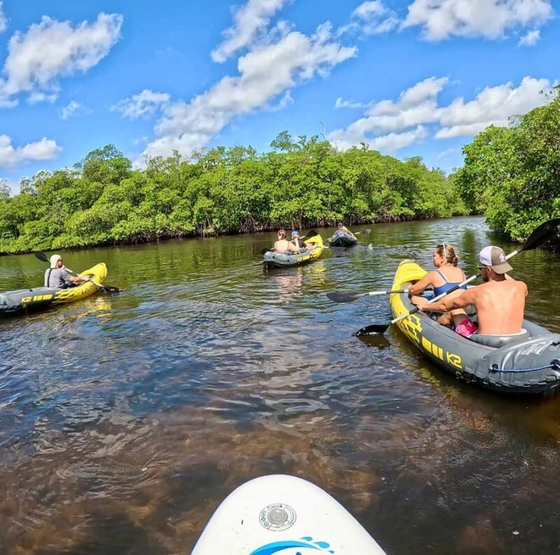Fort Lauderdale: Kayak & Paddleboard Mangroves Eco Adventure - Authentic and Balanced Experience